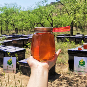 Pot de <span class=keywords><strong>miel</strong></span> sdr en verre, certifié iso, organique, 250g, pour yemanti - Product Image 1