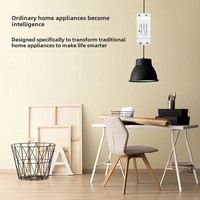 Module de commutateur Wifi à commande vocale Intelligent Yiweilian Télécommande sans fil Alexa Via l'application Yiweilian 10A/16A 220V OEM ODM