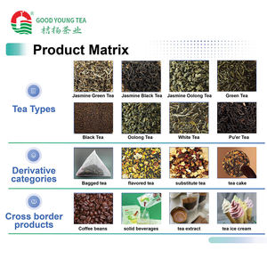 Thé noir biologique Liupao pour la <span class=keywords><strong>perte</strong></span> <span class=keywords><strong>de</strong></span> <span class=keywords><strong>poids</strong></span>, thé noir Liu Pao vieilli <span class=keywords><strong>de</strong></span> haute qualité en gros, livraison rapide dans le monde entier - Product Image 3
