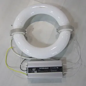 Lampe à décharge électronique LVD 200w, tube à induction circulaire, basse fréquence