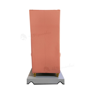 Silla de pedicura de lujo de estilo europeo para <span class=keywords><strong>spa</strong></span> y salón Masaje relajante Rosa moderno <span class=keywords><strong>Spa</strong></span> de pies para peluquería y hotel - Product Image 4