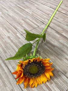 <span class=keywords><strong>Girasol</strong></span> <span class=keywords><strong>de</strong></span> plástico Artificial <span class=keywords><strong>de</strong></span> seda, tallo largo único, venta al por mayor - Product Image 2