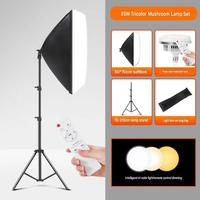 Support professionnel pour éclairage LED de remplissage pour diffusion en direct, alimenté par prise, 50*70cm, 2m, haute définition