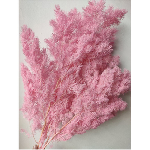 Fermoirs séchés en parapente couleur blanche, 1 pièce, vente en gros d'usine - Product Image 2