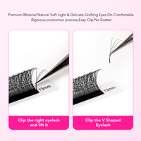 Extensions de cils synthétiques en forme de V, finition mate foncée, 0,07 mm, sans cruauté animale, avec longueur personnalisable, cils croisés en filet maillé
