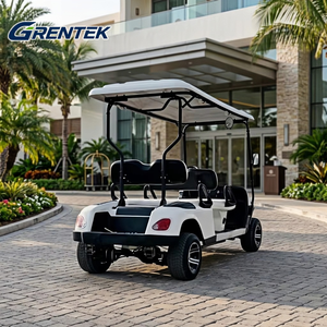 Vente Flash aux États-Unis : Voiturette de Golf Électrique Haute Puissance 6 Places, Fournisseur d'Usine, Buggy de Golf Électrique pour Terrains Non Publics - Product Image 3