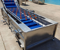 Industriële bubbelwasmachine voor fruit en groenten, tomatenwasmachine