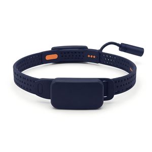 Lámpara Inalámbrica Ligera con Diadema Ajustable para Uso en Hospitales y Clínicas Veterinarias, Linterna Quirúrgica Veterinaria - Product Image 4