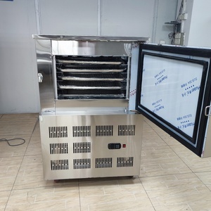 <span class=keywords><strong>Mini</strong></span> congélateur écologique avec plateaux coulissants en acier inoxydable et moteur -80°C, multi-tension, pour laboratoire et <span class=keywords><strong>cuisine</strong></span> - Product Image 4