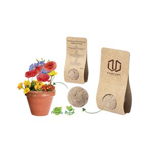 Kit de plantation écologique Company Wildflower Seed Bomb pour jardin et extérieur - Product Image 1