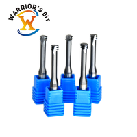 Fraise à queue Warrior's Bit personnalisable, support ODM/OEM, 3 dents, carbure monobloc haute précision 55HRC, 3 cannelures, filetage AITIN CNC