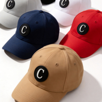 Gorras de Béisbol Personalizadas con Logotipo de Silicona 3D, 5/6 Paneles, Tejido Twill Terry Deportivo, 100% Algodón, Transpirables e Impermeables