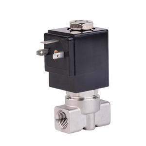Vanne solénoïde 2 voies en laiton Ruby Seal pour machine à café vapeur 24V AC220V - Product Image 1