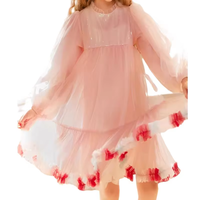 Robe de princesse personnalisée pour filles, rose clair, dentelle florale, manches longues, robe de bal pour enfants, OEM ODM en gros