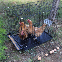 Cage d'Élevage de Volaille Professionnelle en Métal pour Poulets de Chair et Poules Pondeuses