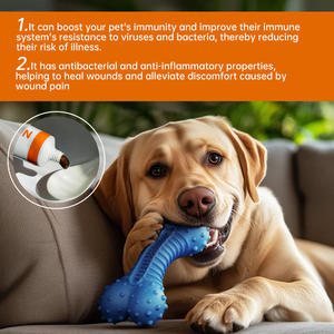 Lactoferrine Immuuncrème Voor Huisdieren Immuniteit Boost - Product Image 4