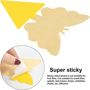 Trampas para Mosquitos con Formas Personalizadas, Diseño Irregular Divertido para Estantes de Plantas - Product Image 2