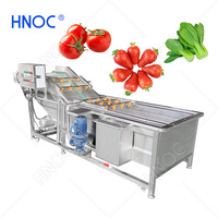 Hnoc Heavy Duty Automatische Champignonwasmachine Reinigt 250Kg Warm Water Wasmachine Voor Fruit En Groenten