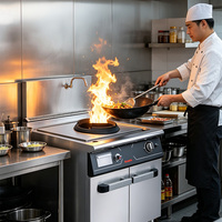 Cuisinière à induction électrique JUSTA, wok commercial en acier inoxydable, 10000-20000W, garantie 1 an, restaurant asiatique