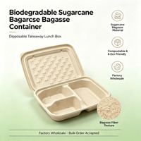 Boîte à lunch jetable biodégradable en bagasse de canne à sucre à 3 compartiments avec couvercle