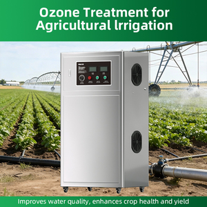 Generador de Ozono Industrial de 1000G 30g, Ozonizador para Tratamiento de Agua de Piscinas, Riego Agrícola - Product Image 5