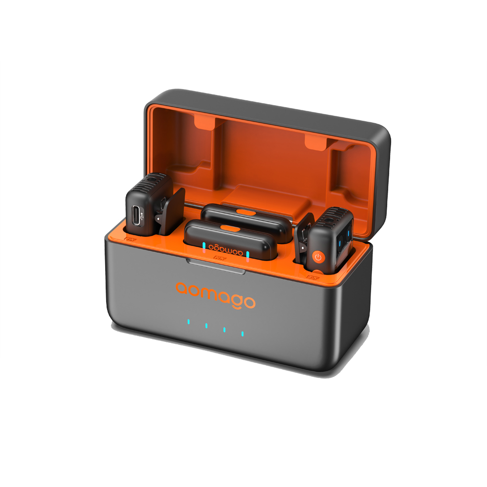 2*Mic + 2* Lightning