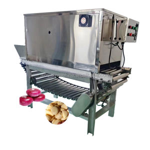 Machine à éplucher automatique commerciale à chaîne pour l'ail - Product Image 1