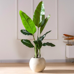 Árbol de bonsái artificial para interior moderno, maceta de plástico con certificación UV, decoración del hogar, temporada de otoño, hierba de olivo falsa, <span class=keywords><strong>flor</strong></span> de paisajismo para jardín - Product Image 5