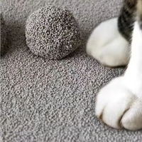 Litière pour chat en gros, 5 kg, directement de l'usine, anti-odeur, café, citron, lavande, en forme de boule, agglomérante, à base de bentonite