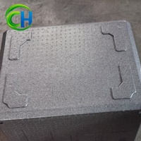 Boîte de transport alimentaire biodégradable de grande capacité 90L en EPP, boîte isolante en mousse EPP recyclée et protectrice