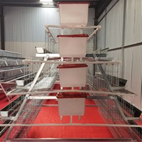 Nouveau poulailler monocouche avec filet de cage à quatre/cinq portes pour un usage domestique