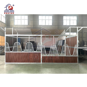 Nuovi Progetti <span class=keywords><strong>per</strong></span> Stalle Equine Interne Zincate: Box <span class=keywords><strong>per</strong></span> l'Alimentazione e la Cura dei <span class=keywords><strong>Cavalli</strong></span> - Product Image 5