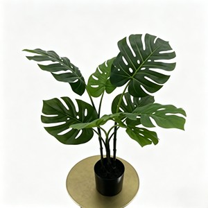 Follaje ornamental con patrón de caparazón de tortuga preservado, con tonos marrones y veteados, para decoración de terrarios exóticos, 80 cm. - Product Image 2