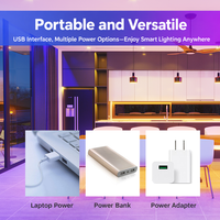 Pengontrol Lampu LED RGB USB Smart App, Mode Musik, Fungsi Timer, 16 Juta Warna, dan Mode Kustom
