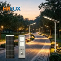 Farola Solar Todo en Uno de 80W 100W con Lámina de Acero Galvanizado, IP66 Impermeable, Lámpara de Calle Residencial