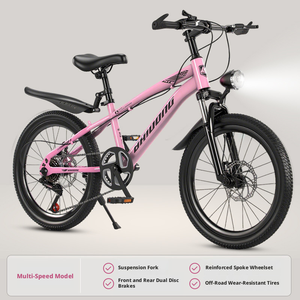 Bicicletta da Montagna Personalizzata in Acciaio ad Alto Tenore di Carbonio per Bambini e Adolescenti, Resistente e Antiruggine, Servizio OEM - Product Image 5