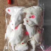 Jouet pour animaux de compagnie fourni directement par l'usine, souris en fausse fourrure de lapin de 2 pouces avec hochet, noir, blanc, gris, jouet pour chat, petite souris