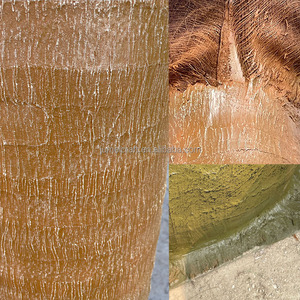 <span class=keywords><strong>Vente</strong></span> directe <span class=keywords><strong>d</strong></span>'usine de réaliste bionique intérieur extérieur artificiel cocotier en fibre de verre forme <span class=keywords><strong>d</strong></span>'arbre herbe Type de plante - Product Image 5