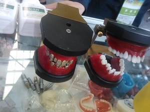 Modello di <span class=keywords><strong>Typodont</strong></span> per l'addestramento ortodontico dei denti dentali - Product Image 2