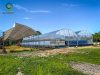 Grande Serre en Stock pour Projets Clé en Main d'Hydroponie de Tomates Agricoles, en Acier-Polycarbonate avec Couverture en Plaque PC, à Vendre