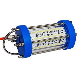 AC220V 800W 1000W <span class=keywords><strong>carpfishing</strong></span> heavt duty luces de pesca azul - Product Image 1