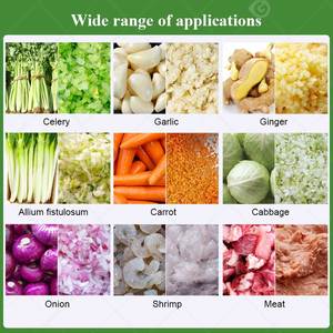 Hachoir à double vitesse 40l 200l Machine électrique pour légumes et viande - Product Image 4