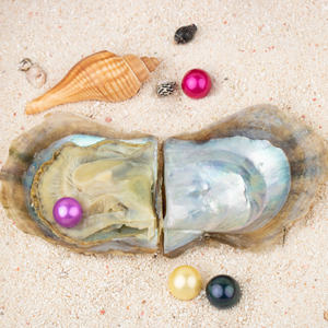 Love Wish <span class=keywords><strong>Pearl</strong></span> Party ของขวัญสูญญากาศบรรจุ9-13Mm Aaaa คุณภาพหลวมน้ำเค็มรอบเลี้ยง Edison <span class=keywords><strong>Oyster</strong></span> - Product Image 4