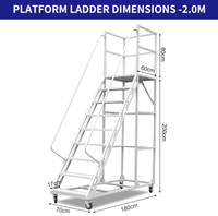 Échelle mobile multifonctionnelle avec plateforme de travail, passerelle industrielle, escalier en acier, design moderne pour usage en entrepôt