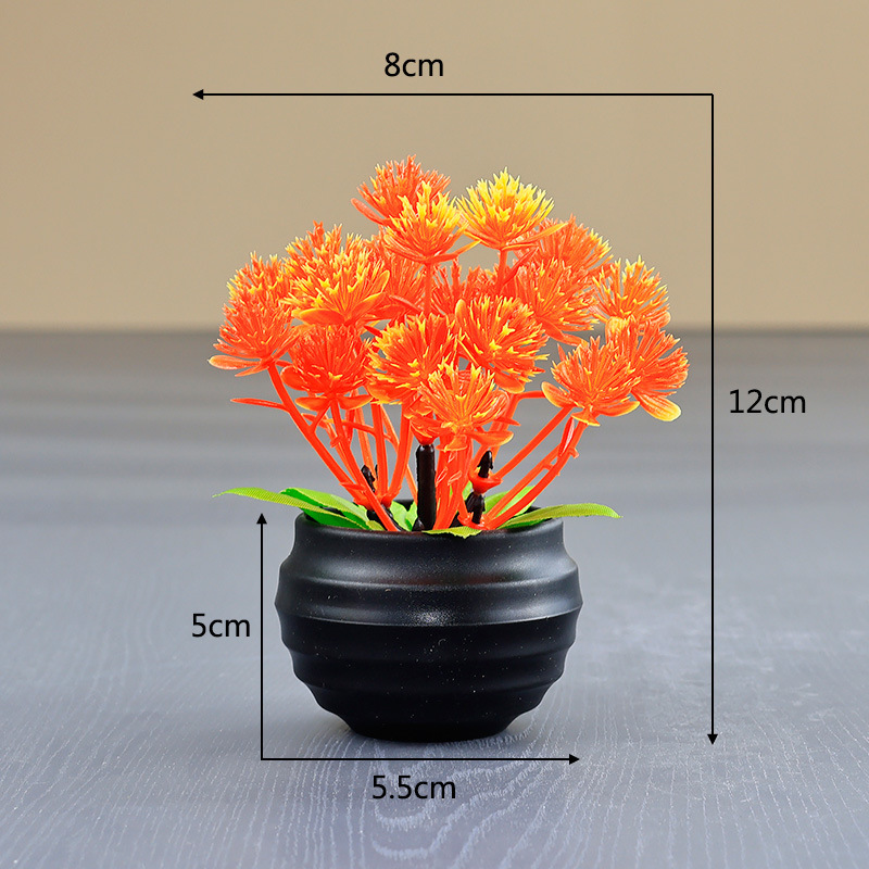 Coucher de soleil orange-rouge [pot noir]