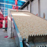 Nouvelle Machine de Séchage Multifonctionnelle à Bande Transporteuse en Maille pour Fruits, Légumes et Fruits de Mer, Idéale pour les Oranges, Agrumes, Pommes et Pomace