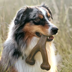 Benebone Wishbone dayanıklı gıda sınıfı köpek çiğnemek naylon kemik oyuncak agresif Chewers için gerçek Bacon tavuk sığır fıstık ahşap lezzet