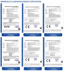 Lámpara LED de Araña Gigante Desmontable Momovalley IP65 Resistente al Agua DC12V 2m con Marco Metálico y Acabado Brillante para Exteriores, Jardín y <span class=keywords><strong>Casa</strong></span> - Product Image 5