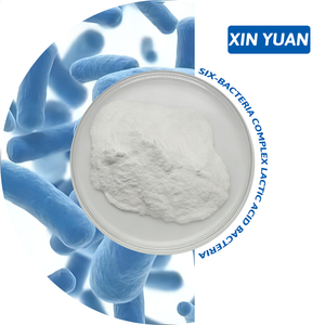 Complément Probiotique à Base de Six Souches de Bactéries, 10 Milliards/g, Poudre de Qualité Alimentaire, Bactéries Lactiques XINYUAN - Product Image 1