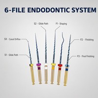 Limas Endodónticas Rotatorias de NiTi Doradas para Conductos Radiculares, Activadas por Calor, SX S1 S2 F1 F2 F3, 6 Piezas, Conicidad Grande